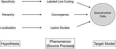 The Value of Failure in Science: The Story of Grandmother Cells in Neuroscience